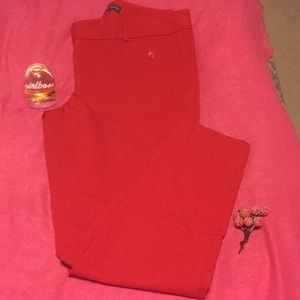 The Limited Exact Stretch straight leg paint